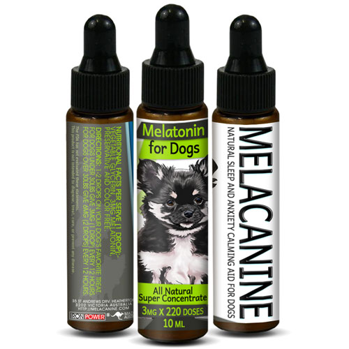 Melatonin For Dogs 3mg x 220 Serves - Calming Aid Drops - Sleep, Stress Relief, Anxiety Supplement